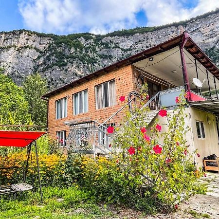 Guest House Oasis - Tvishi Εξωτερικό φωτογραφία