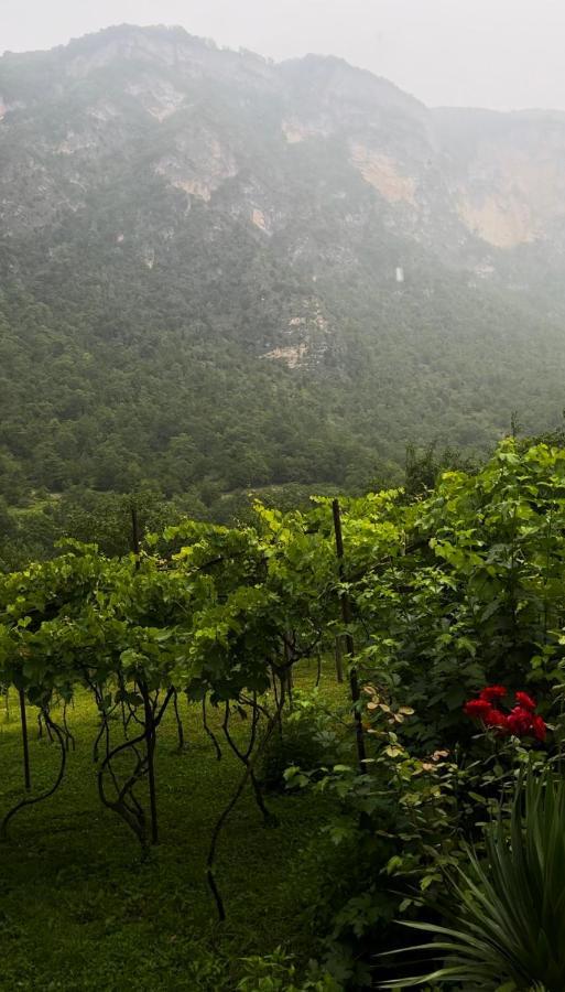 Guest House Oasis - Tvishi Εξωτερικό φωτογραφία