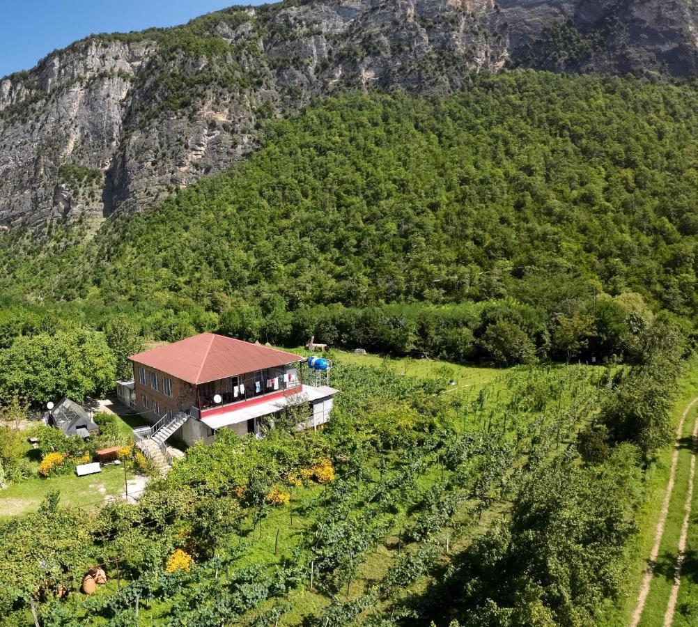 Guest House Oasis - Tvishi Εξωτερικό φωτογραφία
