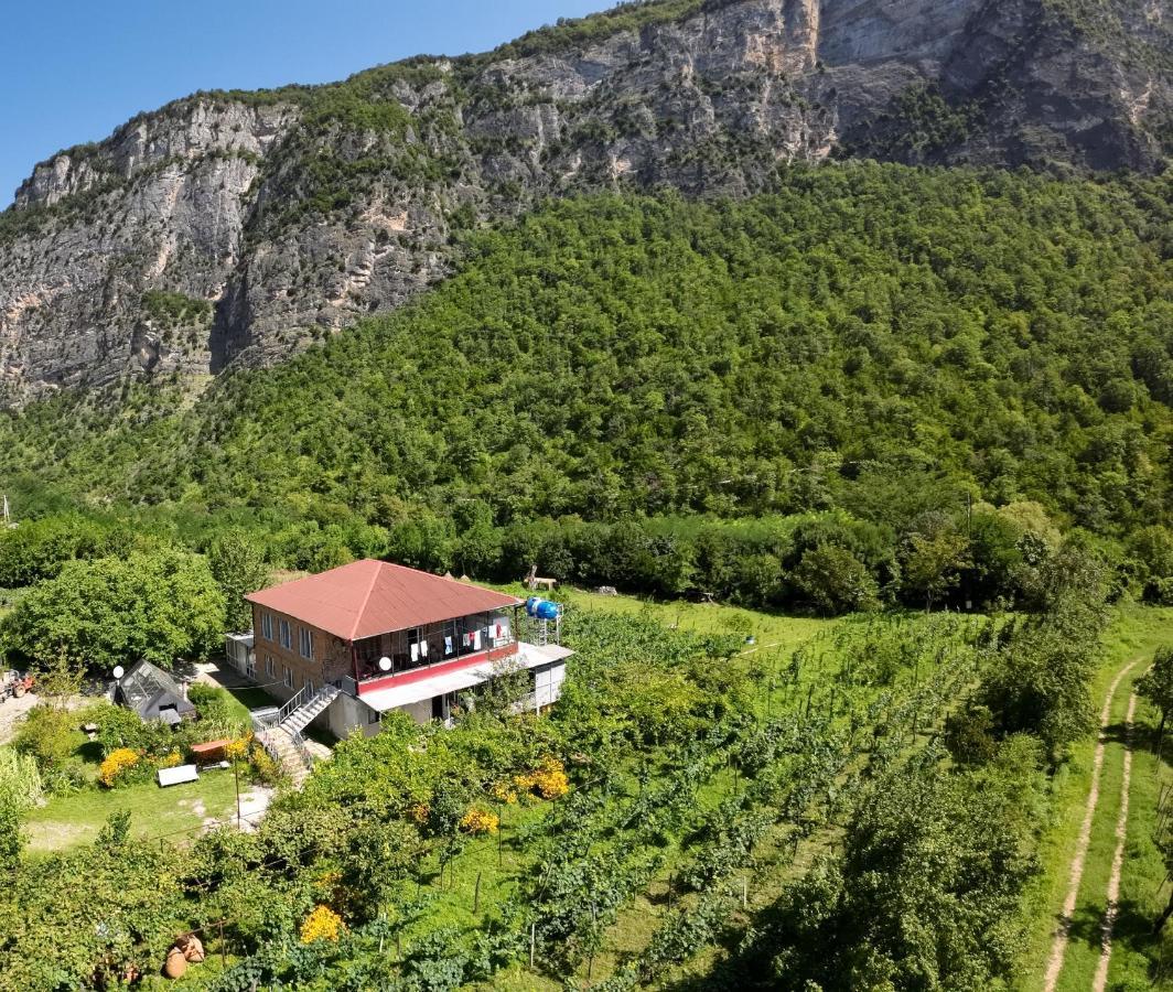 Guest House Oasis - Tvishi Εξωτερικό φωτογραφία