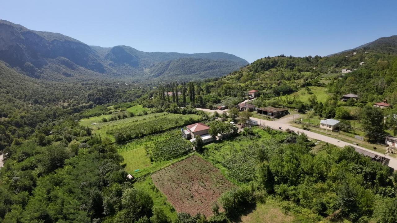 Guest House Oasis - Tvishi Εξωτερικό φωτογραφία